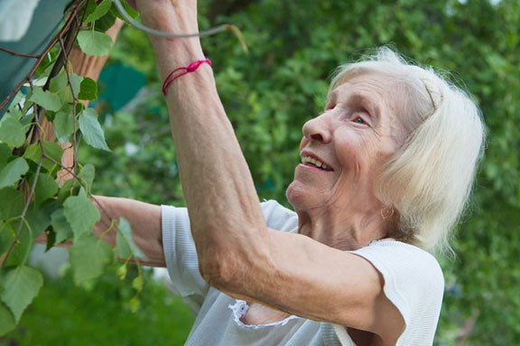 Le pouvoir du jardinage