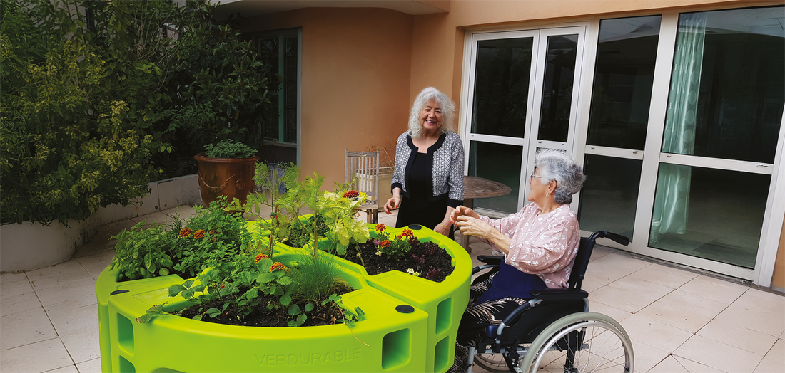 Innovation Hortense - jardinière adaptée pour aînés - CDS Boutique