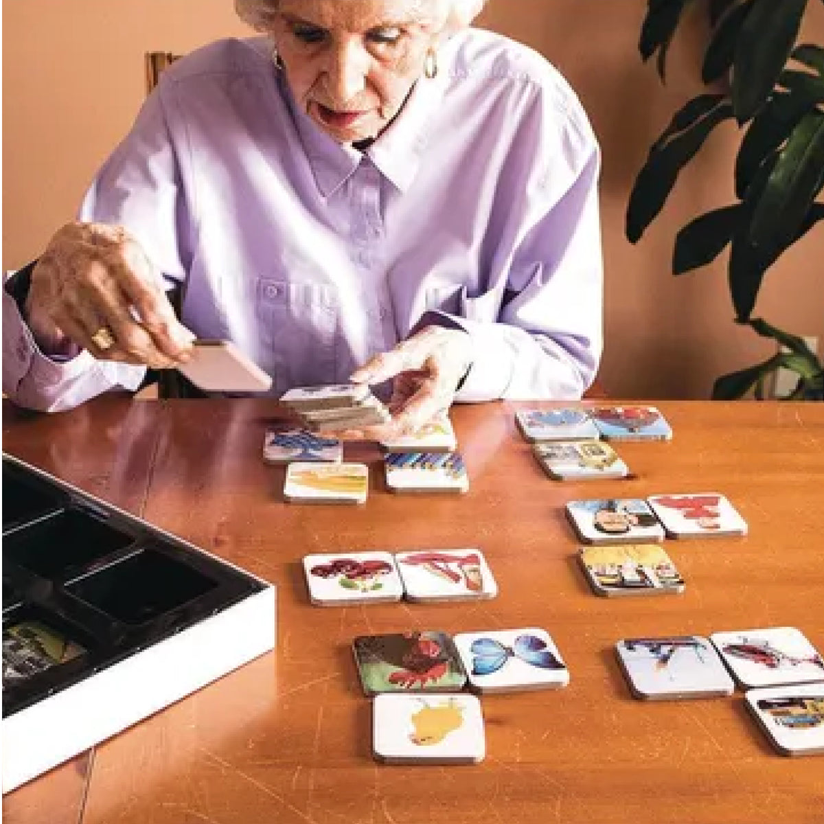 Jeu d'association d'images PicLink, vue 2