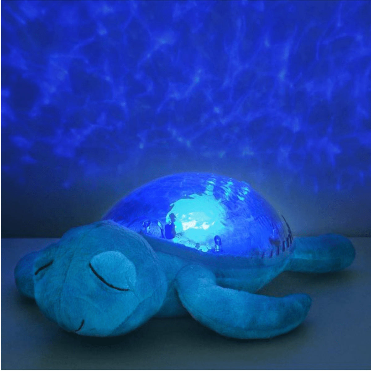 Tortue Tranquille Aqua, vue 2