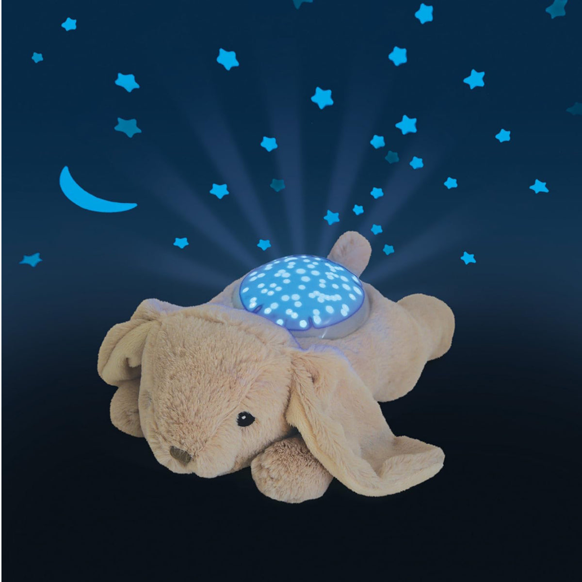 Lapin lumineux, vue 2