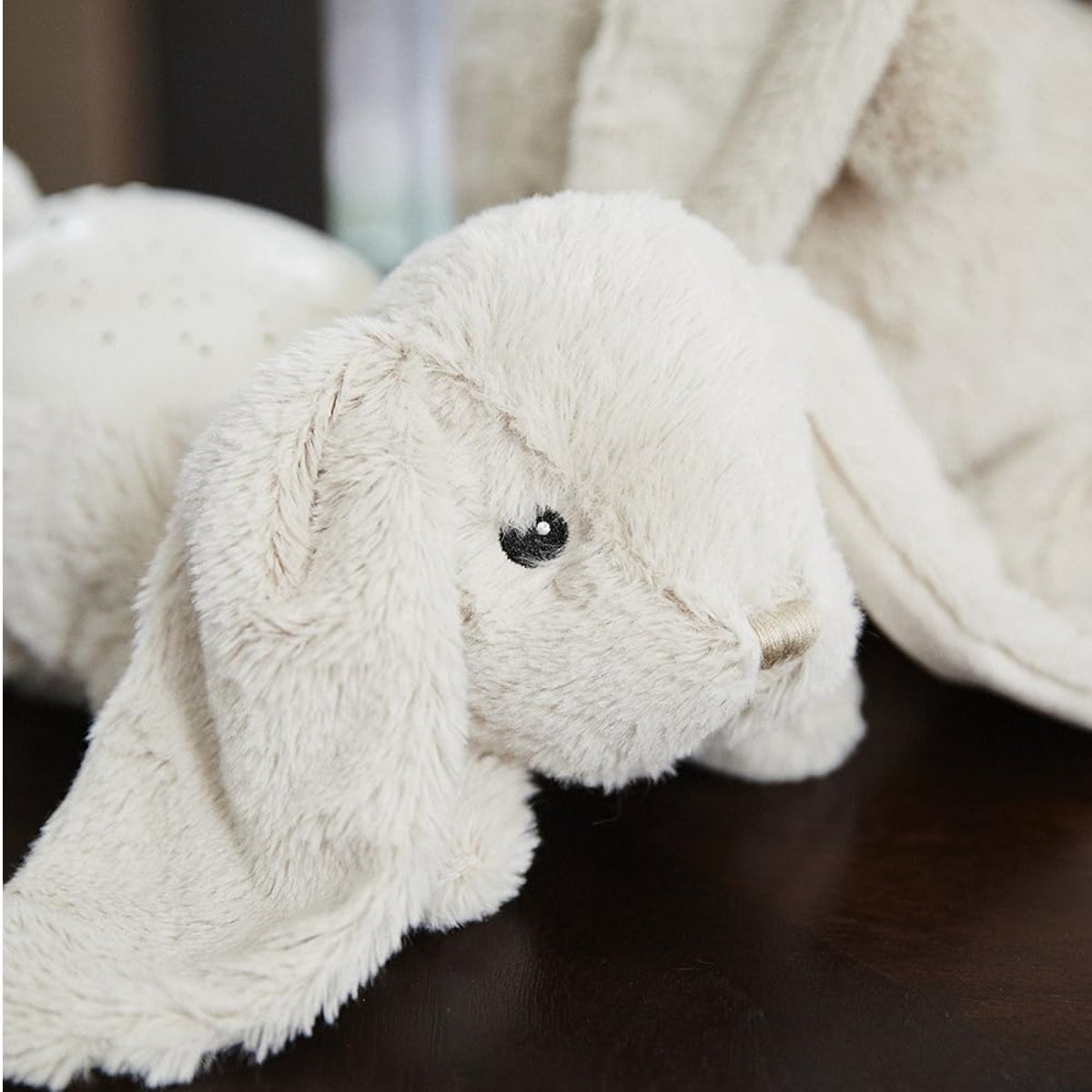 Lapin lumineux, vue 4