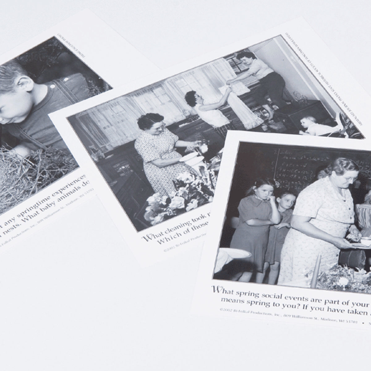 Album Printemps, Bi-Folkal