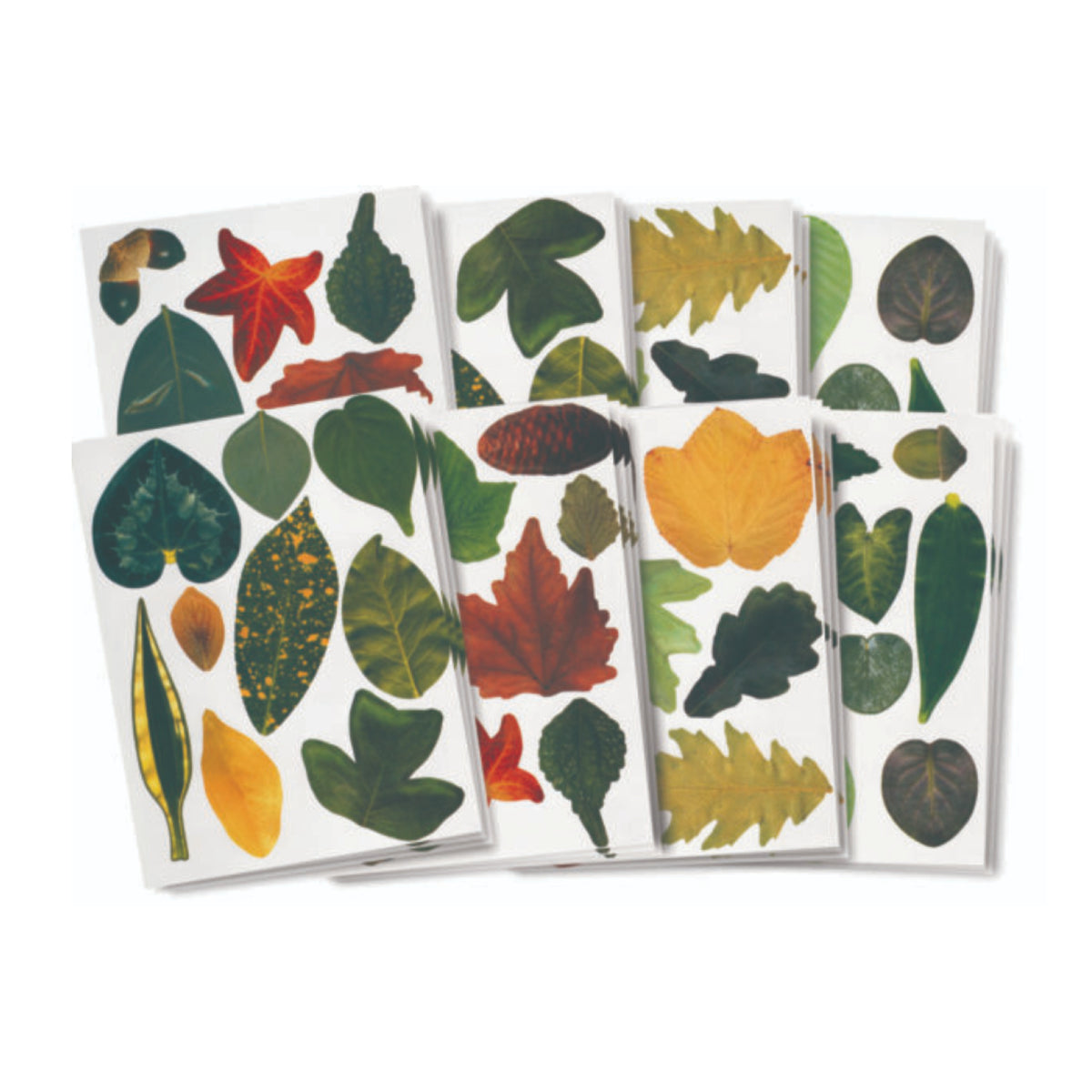 Feuilles de papier à découper double face, Roylco