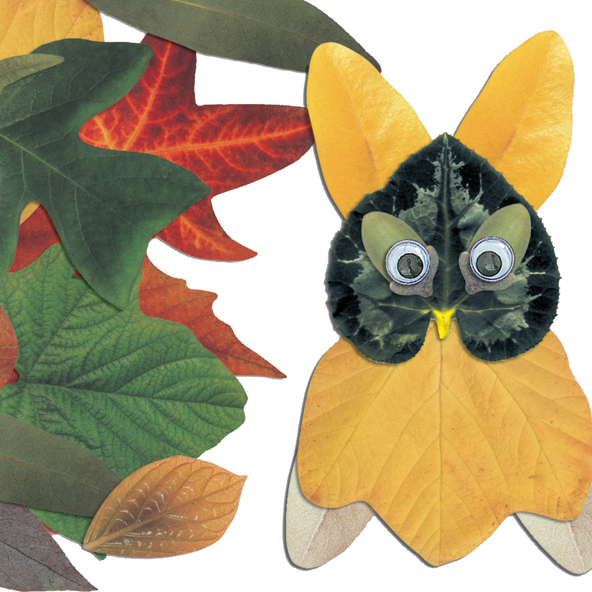 Feuilles de papier à découper, vue 2