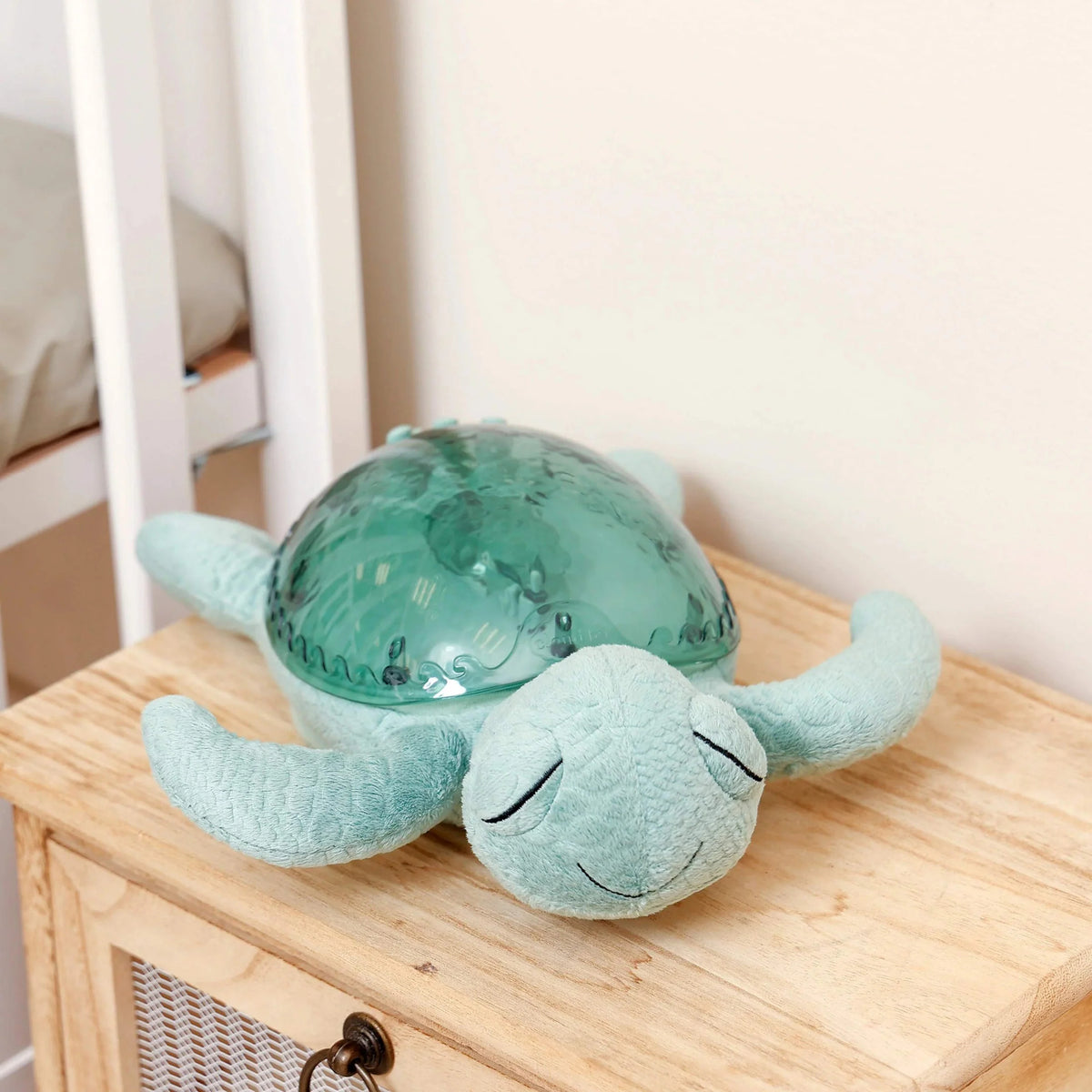 Tortue Tranquille verte, vue 3