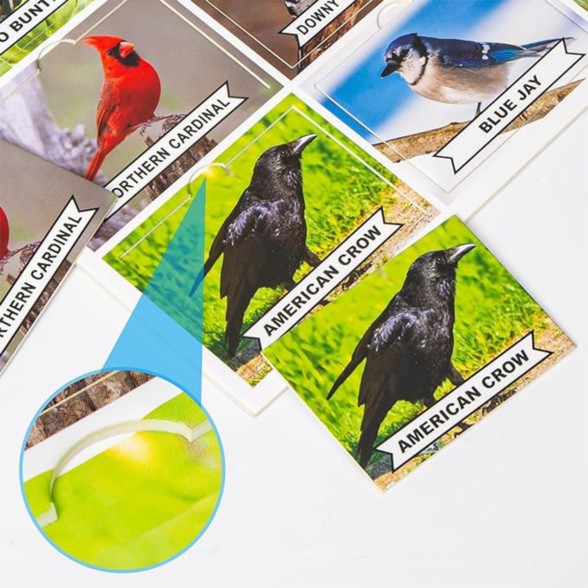 Photographic Matching Game Nature, vue 3