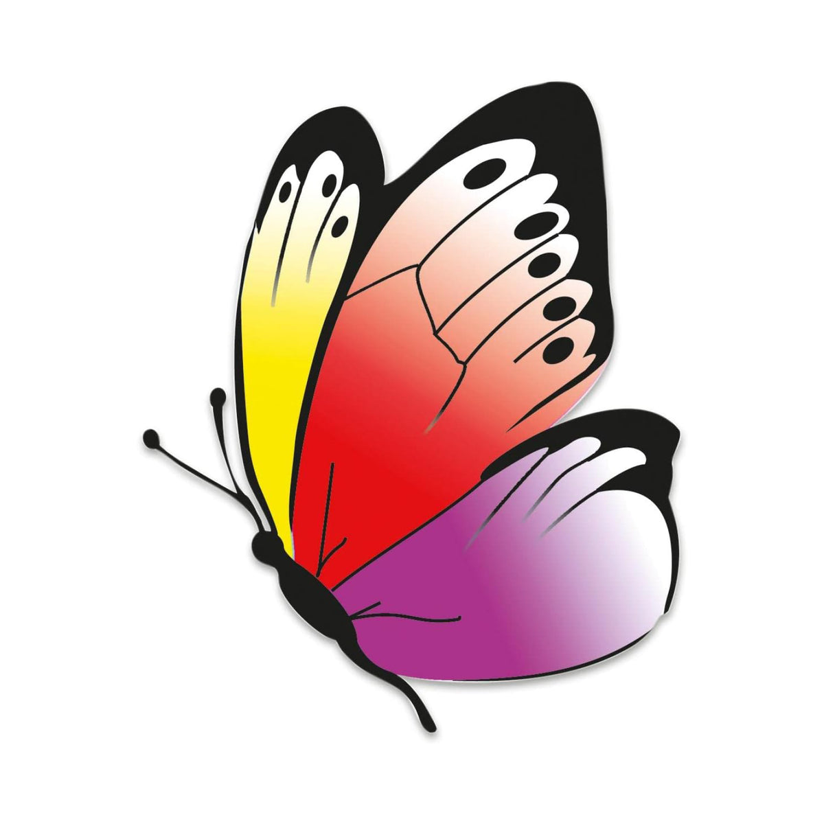Jeu Betty Fly, vue 5