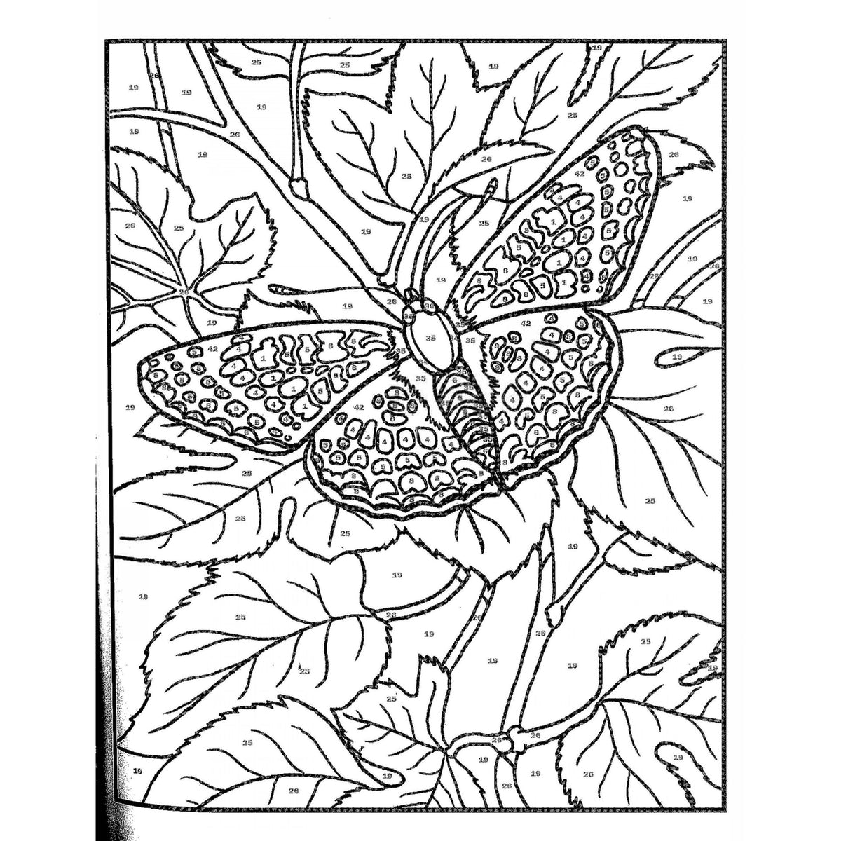 Cahier à numéros Papillons, vue 3