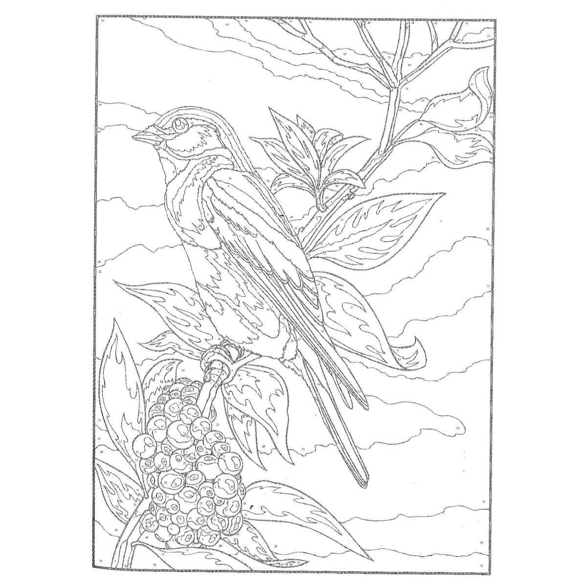 Cahier à numéros Oiseaux, vue 2