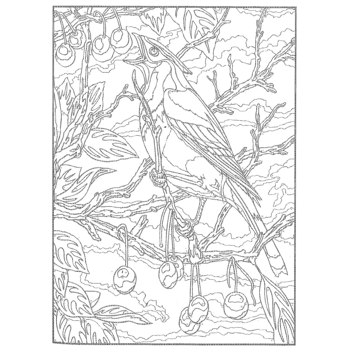 Cahier à numéros Oiseaux, vue 3