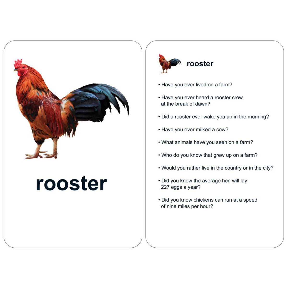 Conversation Cards for Adults Vol. 1, vue 4