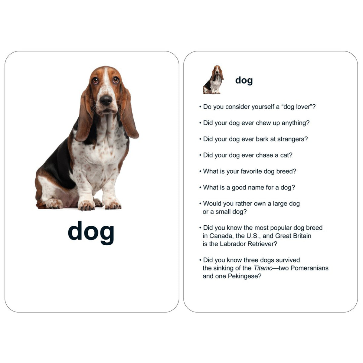 Conversation Cards for Men, vue 6