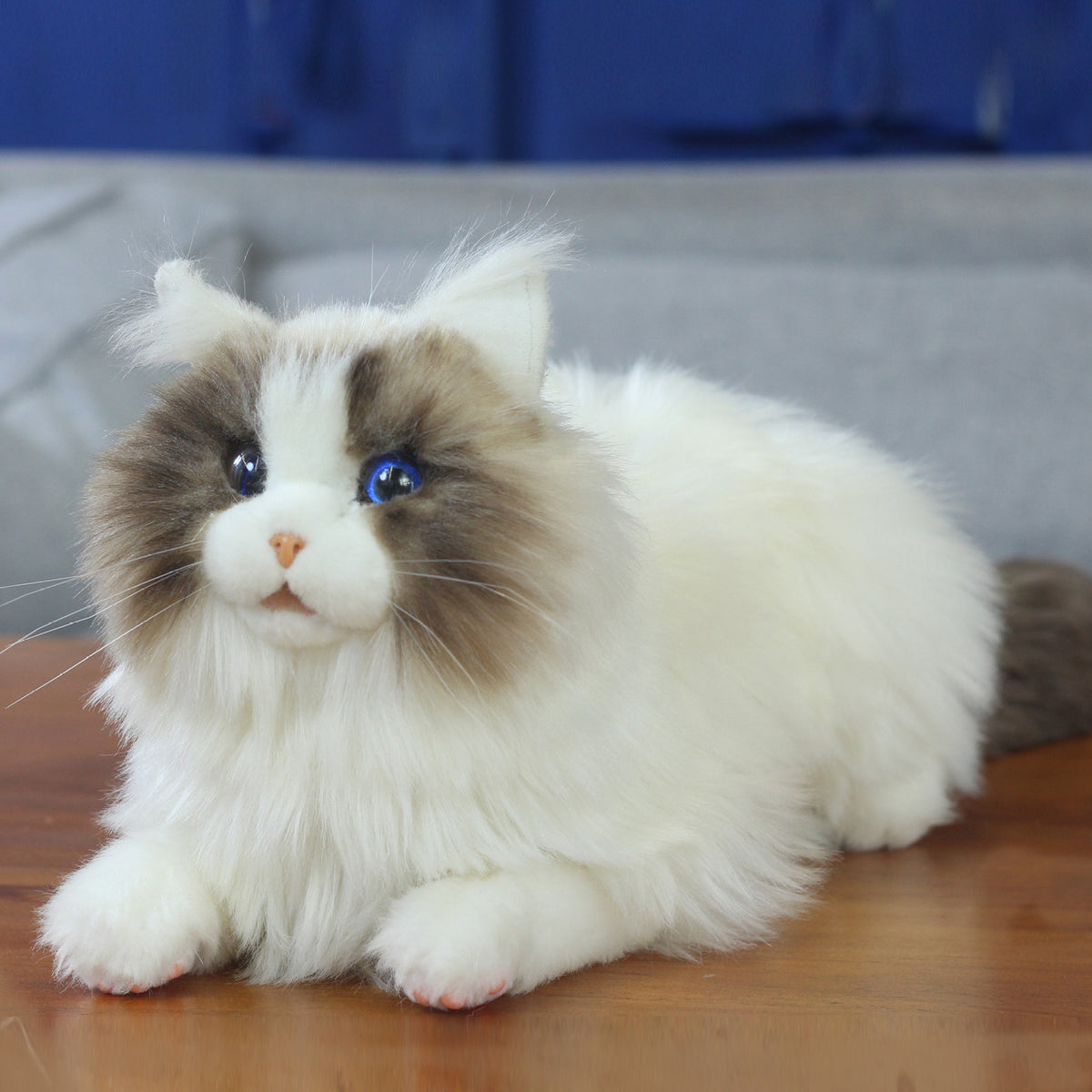 Chat robotique Ragdoll, vue 2