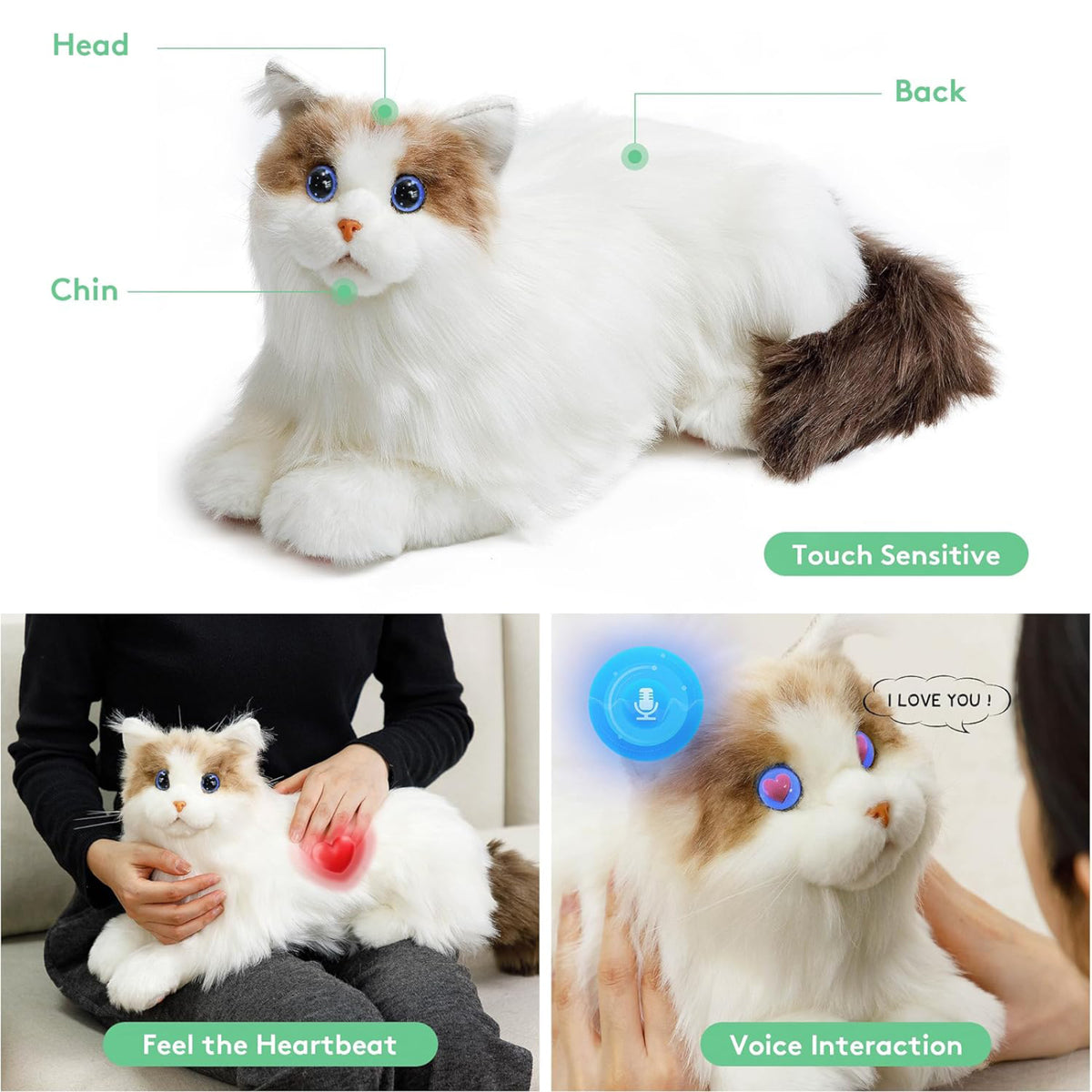 Chat robotique Ragdoll, vue 3