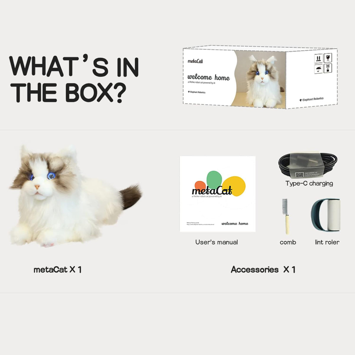 Chat robotique Ragdoll, vue 6