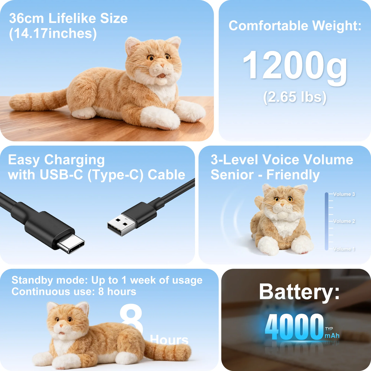 Chatte Percy, vue 6
