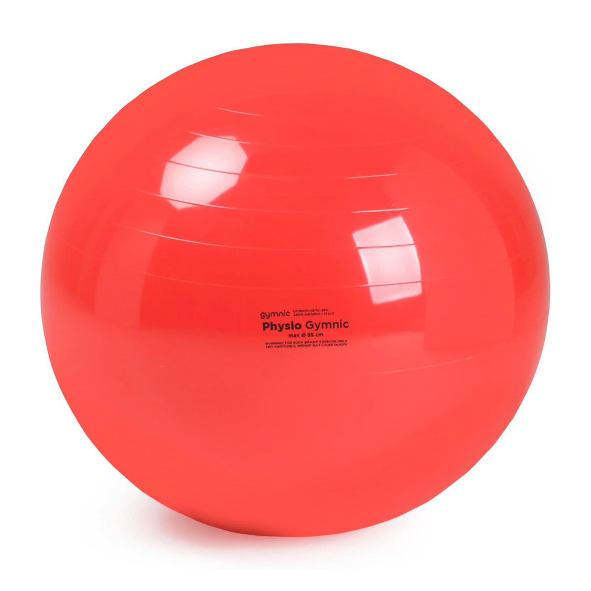 Ballons d'exercice Gymnic Plus, vue d'ensemble
