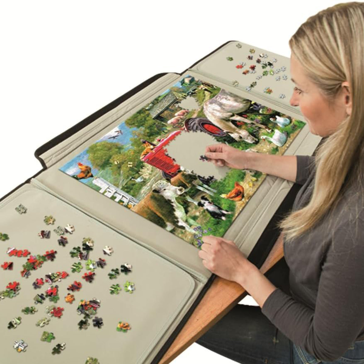 Portapuzzle, vue 2