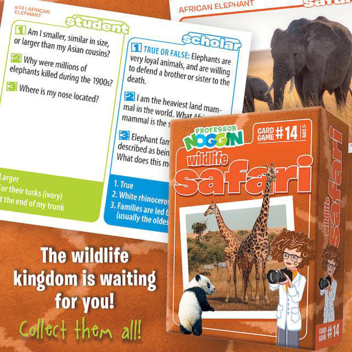 Prof. Noggin's Safari, vue 2