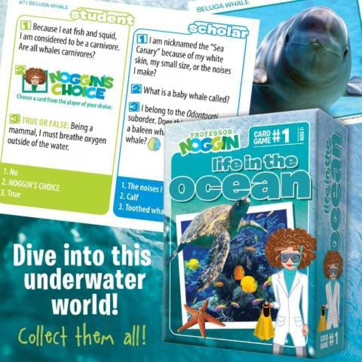 Prof. Noggin's Ocean, vue 2