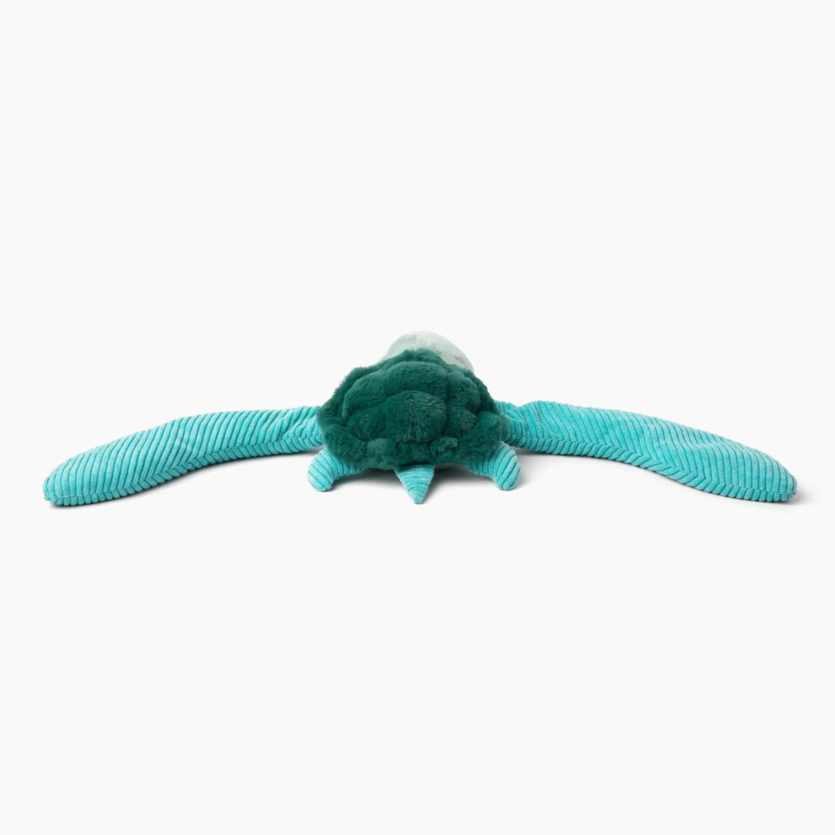 Tortue de mer Hugarounds, vue 5