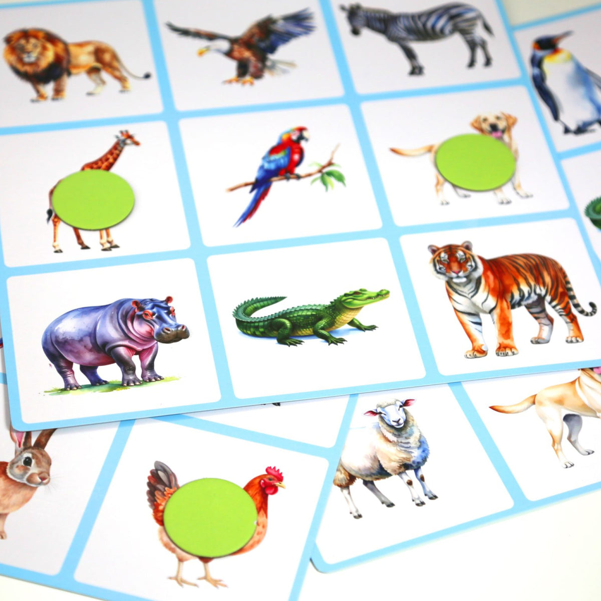 Bingo animaux, vue 2