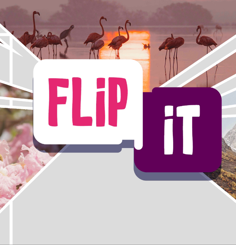 Jeu Flip It - Obie jeu de mémoire pour aînés - Eyeclick