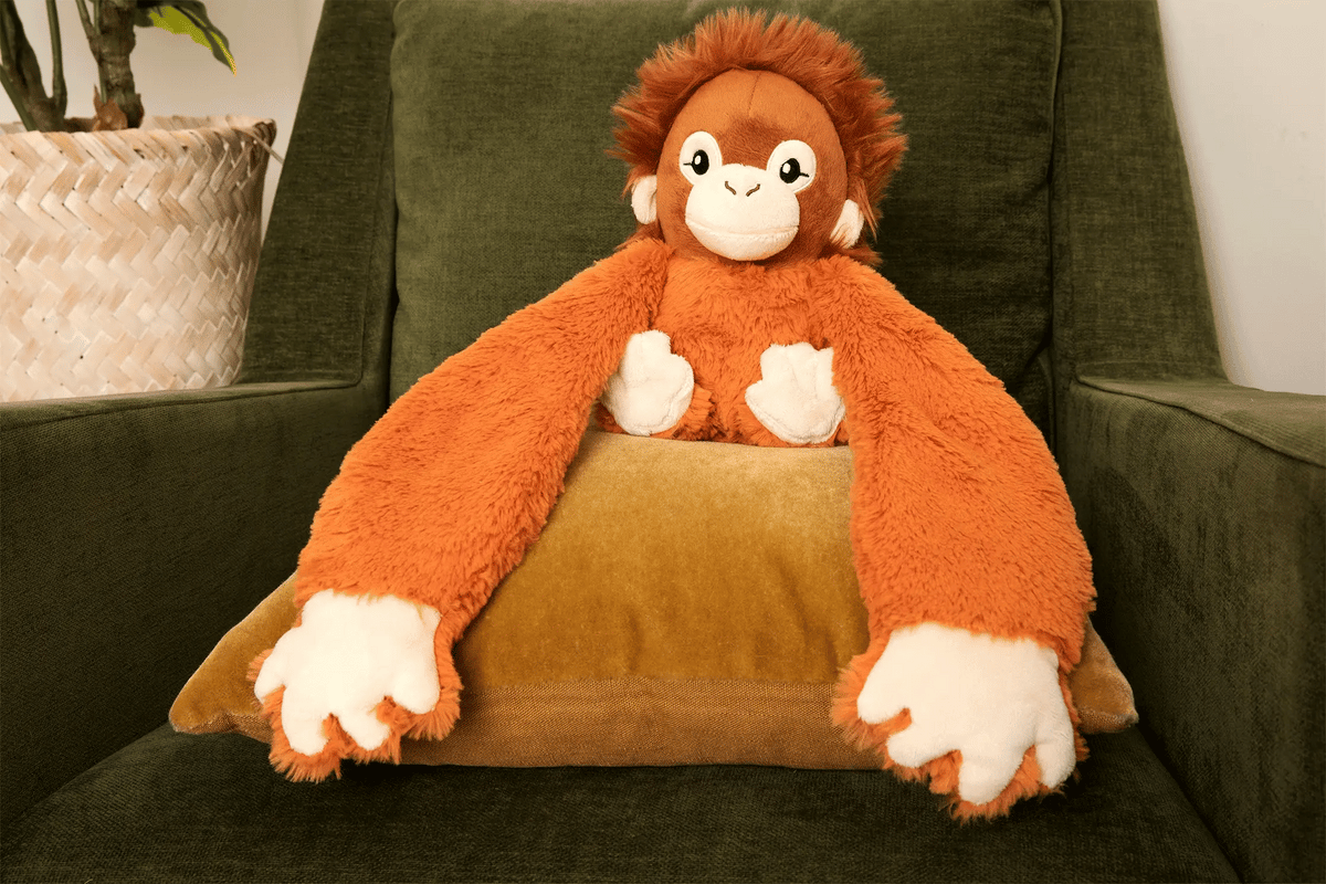 Orang-outan Hugarounds, vue 4