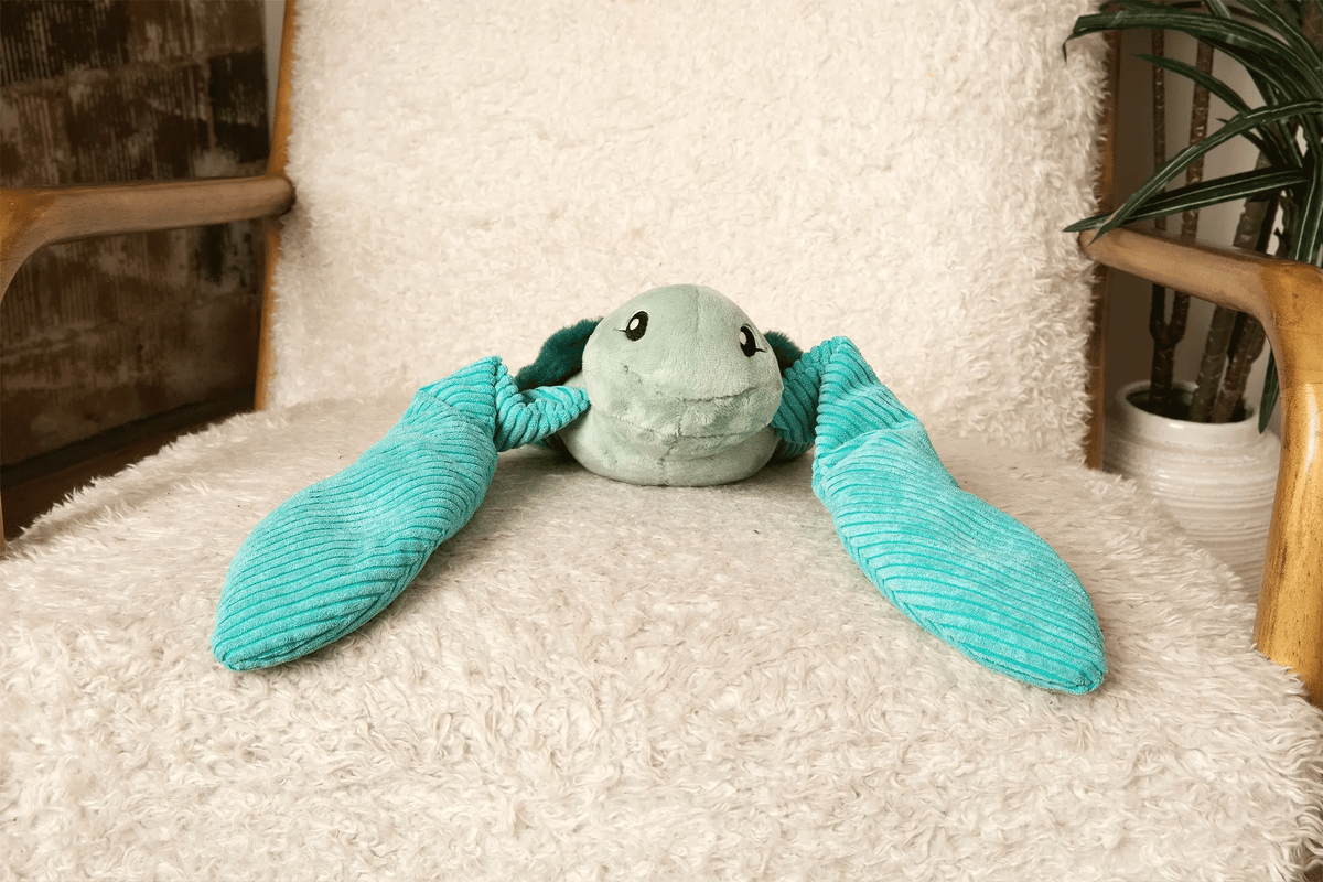 Tortue de mer Hugarounds, vue 4