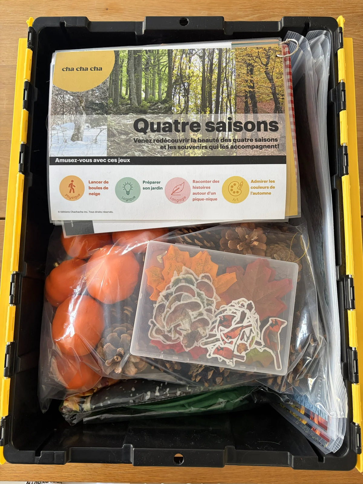 Coffret d’activités de groupe - Les quatre saisons